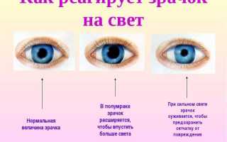 Как быстро сузить зрачки – что сделать, чтобы сузились эффективно и безопасно