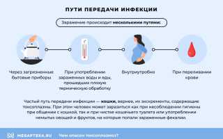 Токсоплазмоз: лечение и симптомы, ТОП 5 продуктов от паразитов