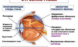 Особенности развития и лечения отслойки стекловидного тела у пациентов