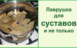 Очищение лавровым листом: народные рецепты, лечение и чистка, видео-рецепты