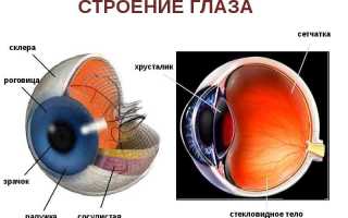 Гифема: причины, симптомы, лечение и профилактика