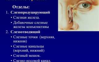 Причины слезотечения из глаз и лечение слезоточивости у пожилых людей: советы и рекомендации