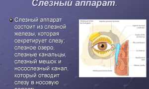 Причины и подходы к лечению слезотечения у пожилых людей: важные аспекты здоровья