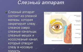 Причины и подходы к лечению слезотечения у пожилых людей: важные аспекты здоровья