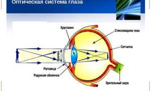 Проверка зрения – таблица Сивцова с цифрами для остроты зрения и ее особенности