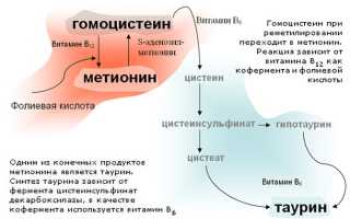 Гомоцистеин при беременности — что это такое и как влияет на здоровье