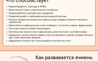 Эффективные капли для лечения ячменя на глазу: советы и рекомендации