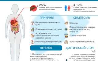 Холестаз беременных: причины и последствия