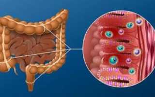 Анализ на копрограмму и яйца глист