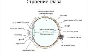 Гигиена органов зрения для здоровья глаз