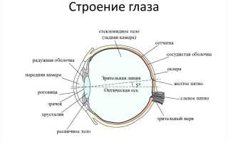 Гигиена органов зрения для здоровья глаз