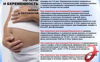 Возможна ли беременность при циррозе печени: важные аспекты