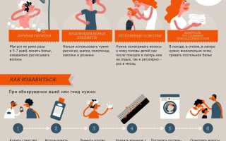Как часто и чем мыть голову при педикулезе