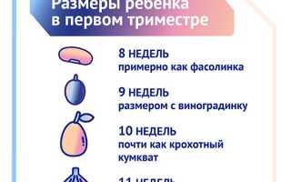 3 месяц беременности – ощущения у мамы, развитие плода и советы