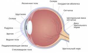 Что такое увеит и какие методы лечения существуют для его устранения