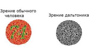 Тест на цветовую слепоту: как применить в домашних условиях правильно?