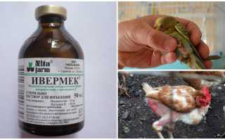 Ивермек инструкция по применению для птиц от глистов