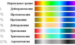 Дальтонизм тест для дальтоников на цветовосприятие и цветоощущение с ответами и рекомендациями