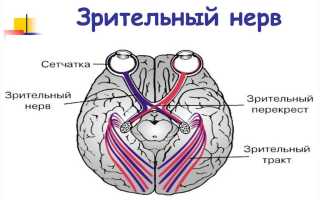 Частичная атрофия зрительного нерва: лечение и профилактика