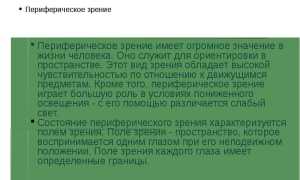 Что такое периметрия глаза и её значение для здоровья