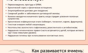 Как убрать ячмень с глаза медикаментами и народными средствами быстро и эффективно