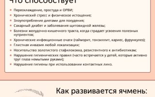 Препараты для лечения ячменя на глазу: эффективные методы и советы