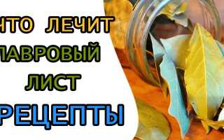 Лавровый лист от аллергии: рецепты отваров и настоек, масла и ванны, видео рецепты