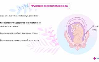 Как отходят воды при беременности: важные аспекты и советы