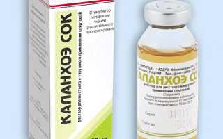 Лечение каланхоэ, сок, настойки, мази, рецепты, применение