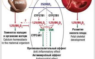Зачем нужен витамин D при беременности для здоровья мамы и малыша