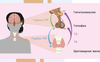 Гипотиреоз и беременность — последствия для здоровья матери и ребенка