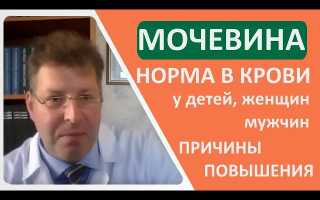 Мочевина в крови: повышение и понижение, признаки, лечение, видео