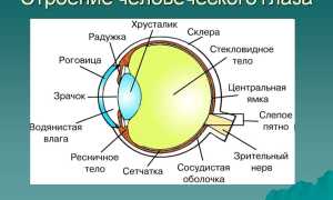 Капли, снимающие напряжение в глазах: для снятия усталости и улучшения комфорта
