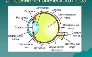 Капли, снимающие напряжение в глазах: для снятия усталости и улучшения комфорта