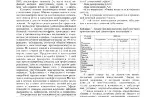 Лечение пиелонефрита у взрослых и детей народной медициной