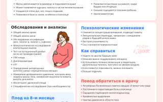 8 месяц беременности — ощущения, развитие ребенка, рекомендации и ограничения для будущих мам