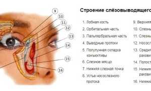 Глаза слезятся на улице от ветра – почему и что делать для облегчения