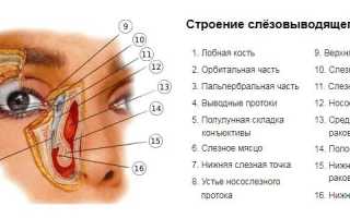 Глаза слезятся на улице от ветра – почему и что делать для облегчения