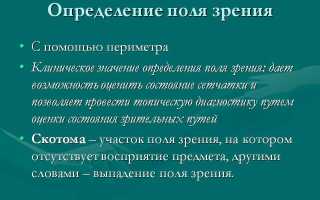Компьютерная периметрия глаза: диагностика и преимущества