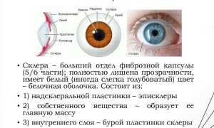 Эписклерит глаза: описание, симптомы и лечение заболевания у пациентов