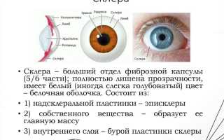 Эписклерит глаза: описание, симптомы и лечение заболевания у пациентов