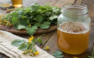 Ферментный квас Болотова: лечебный напиток от болезней, рецепты