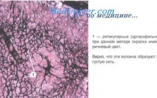 Могут ли быть увеличены лимфоузлы при глистах у