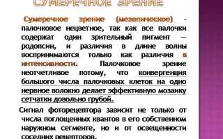 Сумеречное зрение: особенности и влияние на повседневную жизнь