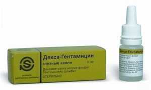 Капли Декса Гентамицин – инструкция дексагентамициновых в нос детям для лечения заболеваний