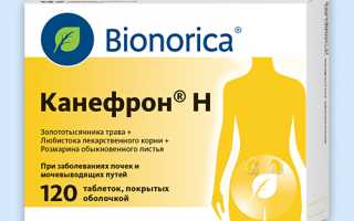 Канефрон при беременности: полезные свойства и рекомендации