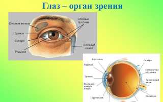 Глаза красные – как лечить, если сильно покраснели, причины и советы