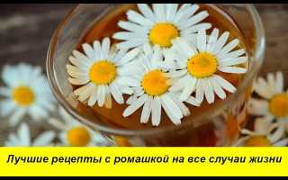 Эффективное лечение простатита ромашкой: рецепты и способы применения, видео