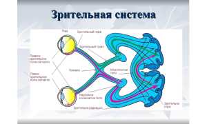 Монокулярное зрение: как выявить и диагностировать?