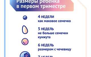 2 месяц беременности: важные моменты и советы
